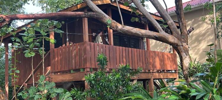 树顶海滨小屋(Treetop Beachfront Cabana)图片