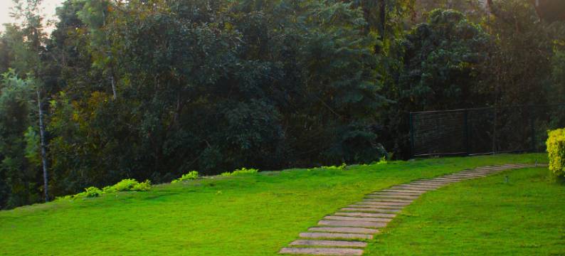 森林边缘度假村(Forest Edge Resort)图片