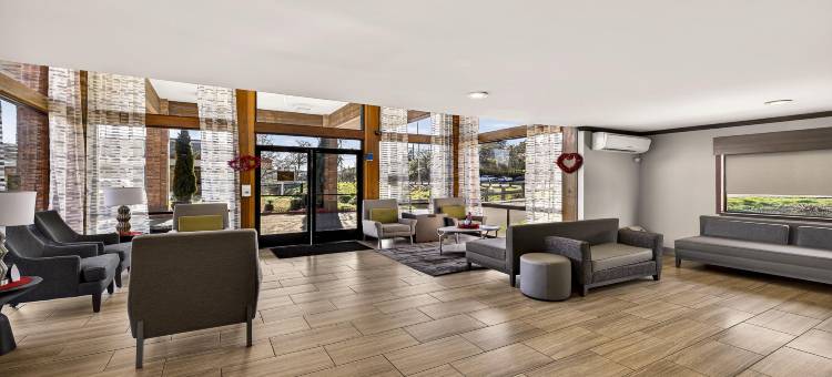 阿马多尔贝斯特韦斯特酒店(Best Western Amador Inn)图片