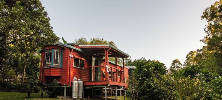 玻璃屋山生态旅馆(Glass House Mountains Ecolodge)图片