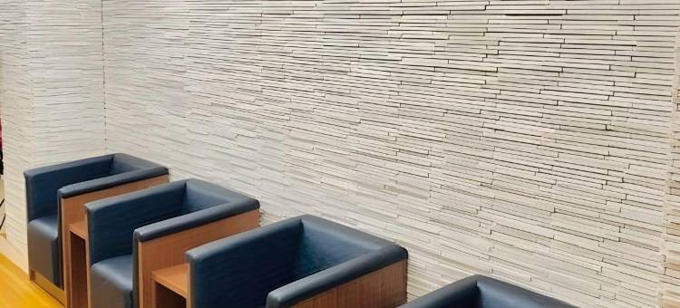 威尼基卡尔顿酒店大阪道顿堀(Benikea Calton Hotel Osaka Doutonbori)图片