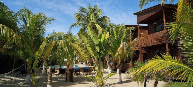米赫的椰子小木屋(Coconut by ÓOL Hotels)图片