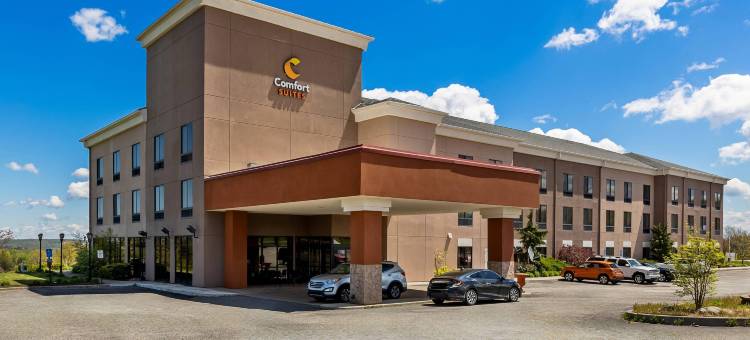 舒适套房酒店(Comfort Suites Edinboro)图片