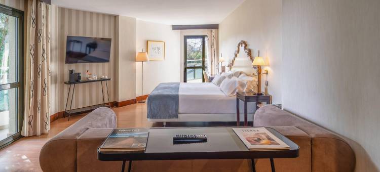 美利亚帕拉西奥阿维莱斯酒店(Palacio de Aviles Affiliated By Melia)图片
