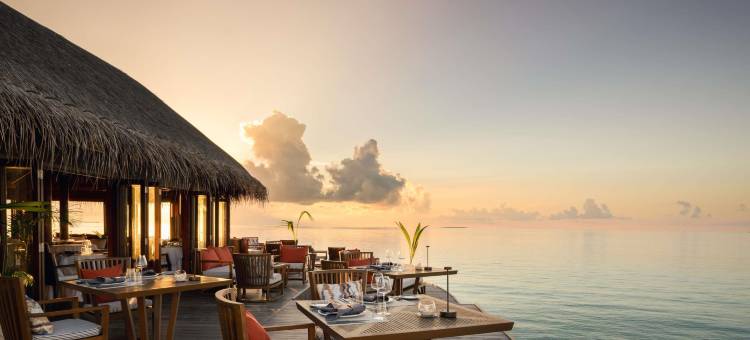马尔代夫美憬阁米里希V别墅(V Villas Maldives at Mirihi - MGallery Collection)图片