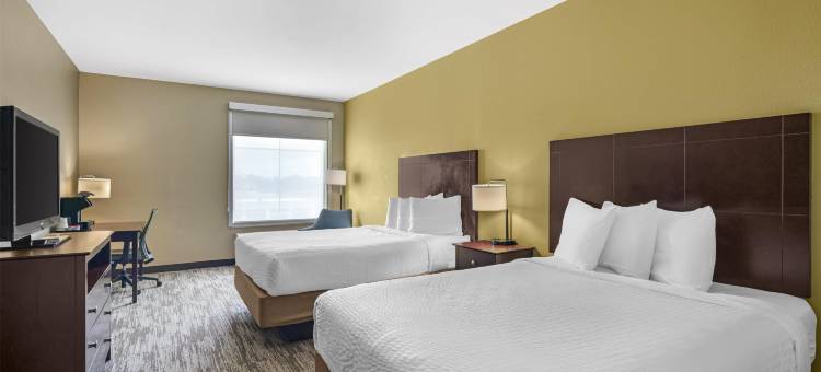 查尔梅特贝斯特韦斯特优质酒店(Best Western Plus Chalmette Hotel)图片