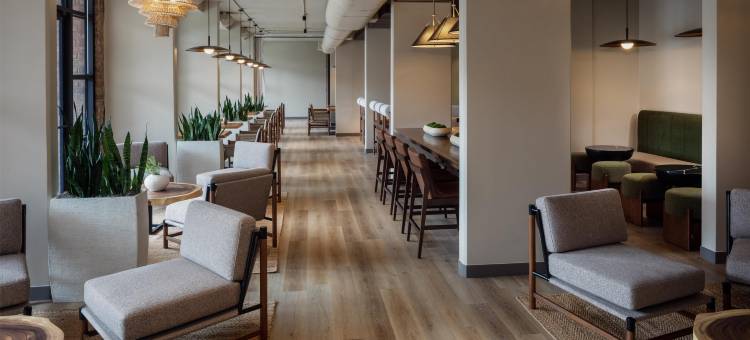 普莱诺希尔顿启缤精选Clara酒店(The Clara Hotel Plano Tapestry Collection by Hilton)图片