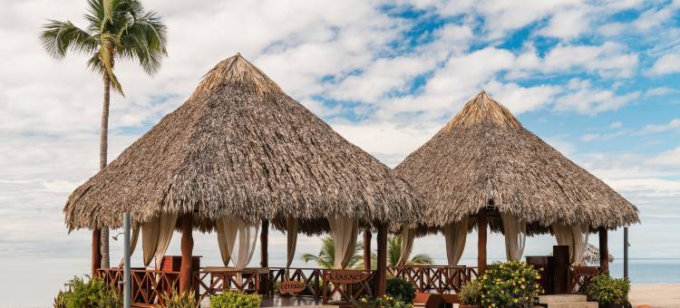 罗亚尔德卡梅龙巴拿马(Grand Decameron Panama, A Trademark All Inclusive Resort)图片