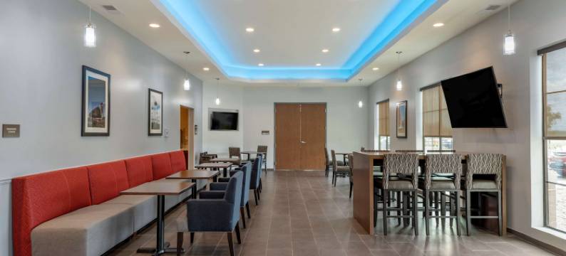 舒适套房酒店(Comfort Suites)图片