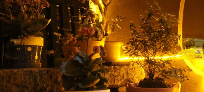 西塘沐栖漫舍精品客栈图片