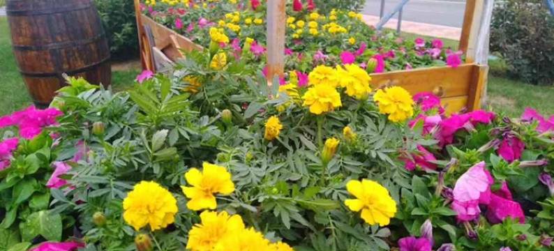 营口鲅鱼圈万科馨阳海景公寓图片