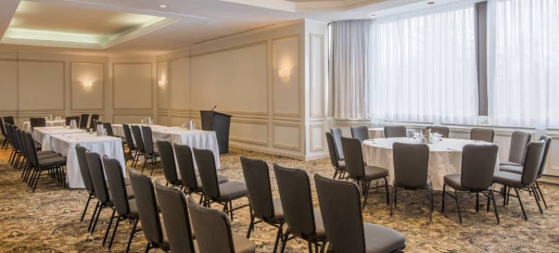 加蒂诺-渥太华新城堡酒店(Wyndham Gatineau-Ottawa & Conference Centre)图片