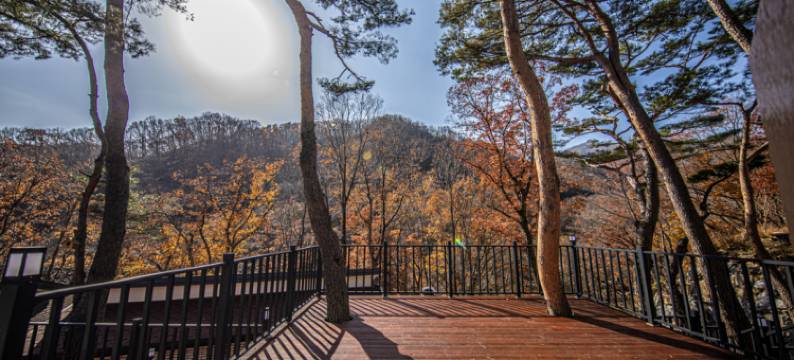 Sancheong Jiri Mountain Stay Forest Pension图片