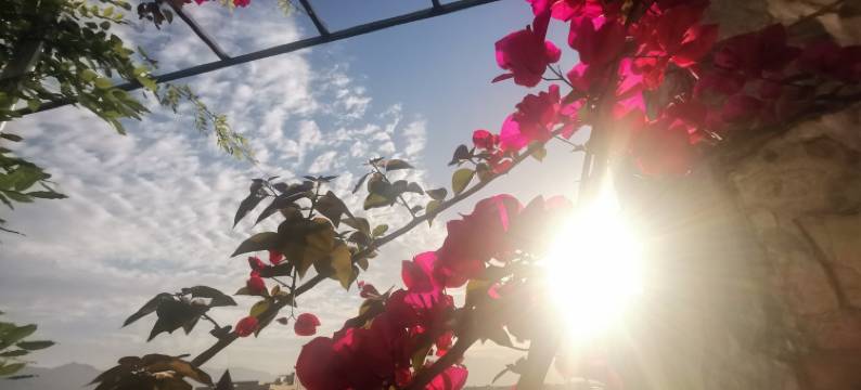 闽侯木子名驿站图片