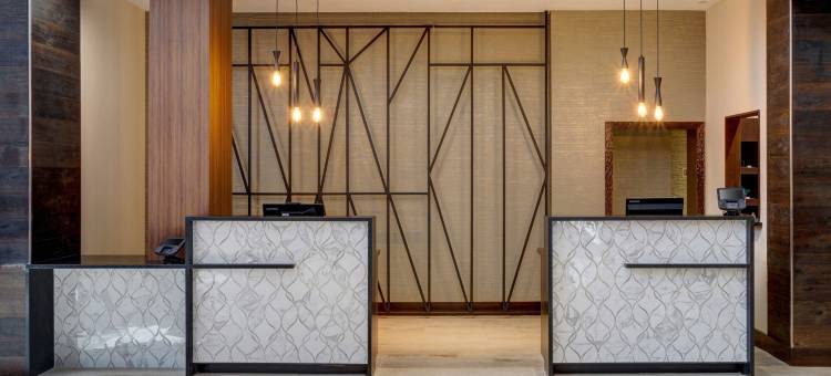 北休斯顿万豪酒店(Houston Marriott North)图片