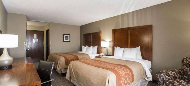 圣路易斯 - 黑泽尔伍德舒适套房酒店(Comfort Inn & Suites St Louis-Hazelwood)图片