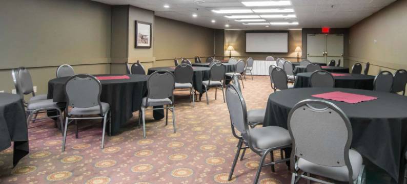 耶洛奈夫凯艺套房酒店(Quality Inn & Suites Yellowknife)图片