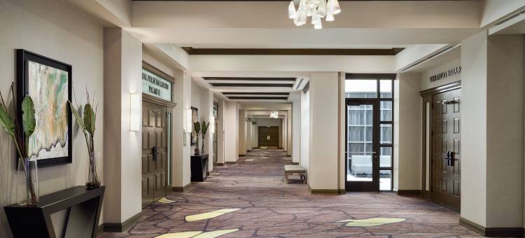 博卡－拉顿博卡中心万豪酒店(Boca Raton Marriott at Boca Center)图片