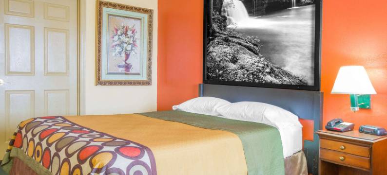 塔拉迪加温德姆速8酒店(Super 8 by Wyndham Talladega Al)图片