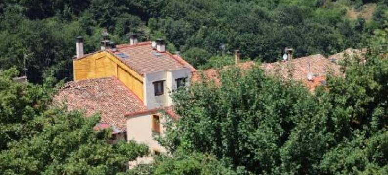 Naquela Castroviejo图片