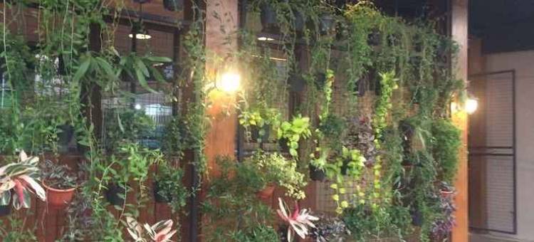 竹子客栈2号民宿(Bamboe Inn 2 Homestay)图片