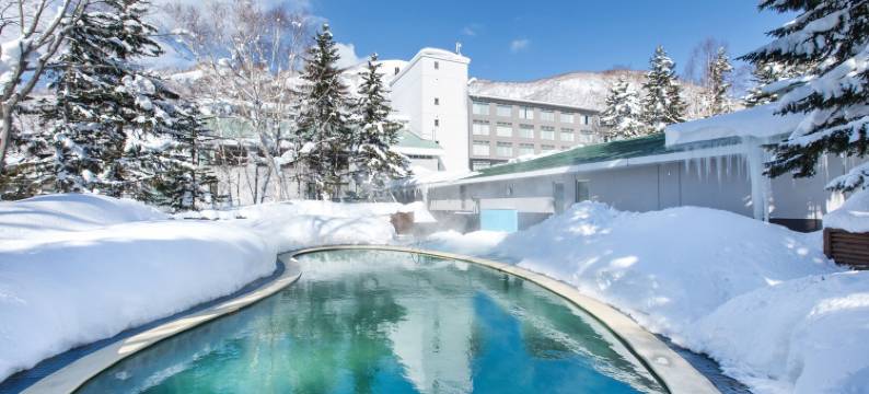 绿叶新雪谷精选酒店 希尔顿逸林酒店精选(The Green Leaf Niseko Village, Tapestry Collection by Hilton)图片