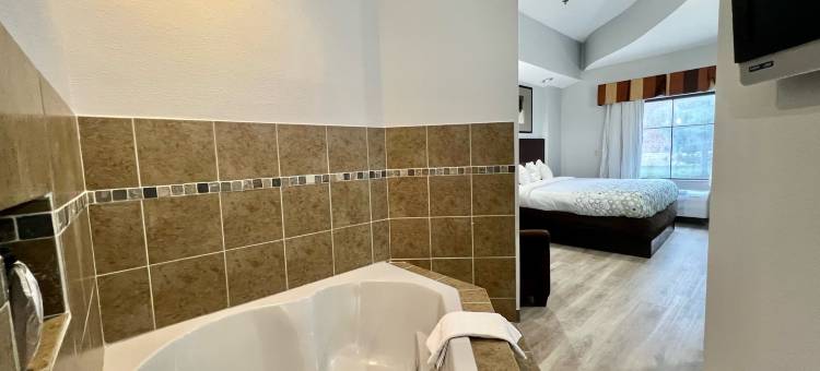 华盛顿霍姆汤公寓(HomeTowne Studios & Suites Washington)图片