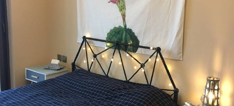 柳若弦公寓(杏林北二路分店)图片