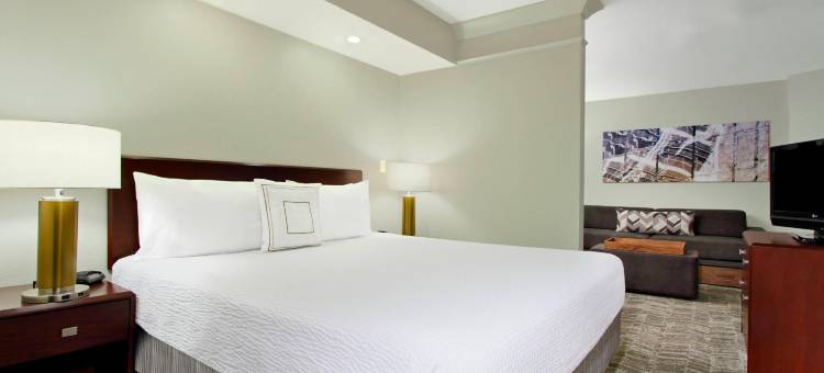 切萨皮克绿蔷薇SpringHill套房(SpringHill Suites Chesapeake Greenbrier)图片