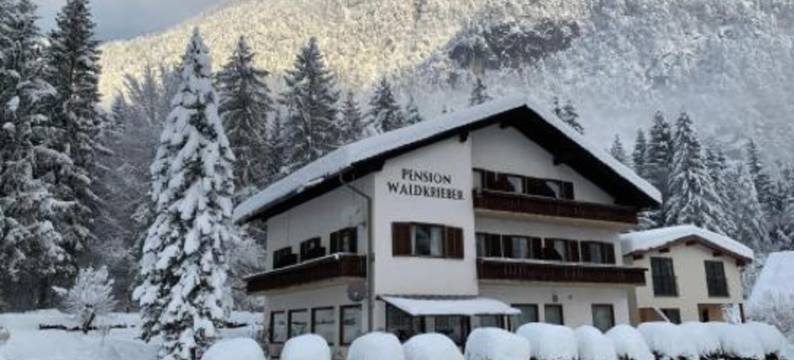 沃克里贝尔旅馆(Pension & Apartments Waldkrieber)图片