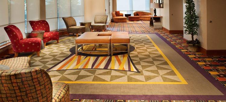 DFW机场南希尔顿花园酒店(Hilton Garden Inn DFW Airport South)图片