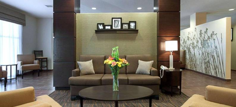 卡尔斯巴德洞穴区舒眠套房酒店(Sleep Inn & Suites Carlsbad Caverns Area)图片