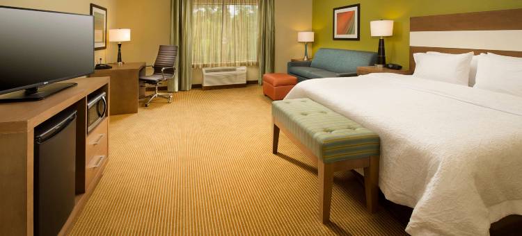 希尔顿欢朋酒店-查尔斯湖(Hampton Inn Lake Charles)图片