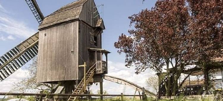 米勒奥尔巴赫乡村宾馆(Landhaus Auerbachs Mühle)图片