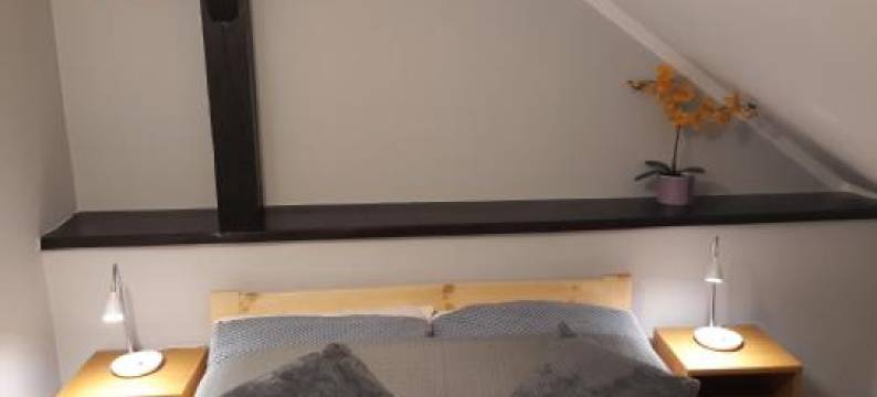 诺克勒吉尤费拉民宿(Noclegi U Fela)图片