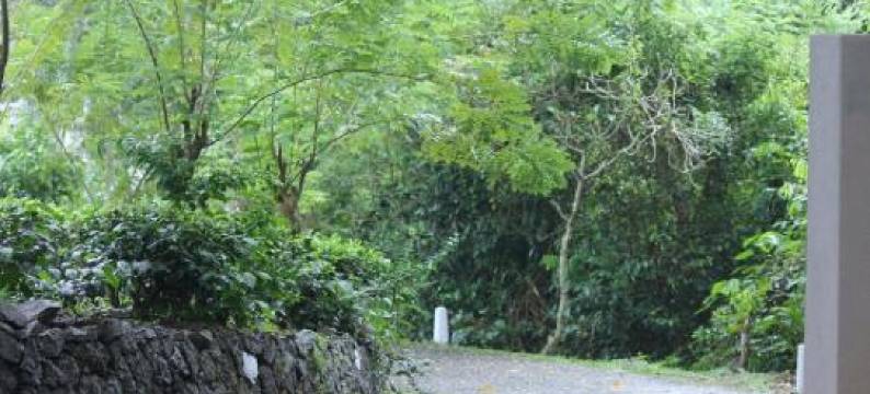 乡间别墅度假屋(The Country House Chalets)图片