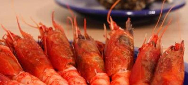 Duca d'Aosta Terrace, Skypool & Sauna图片