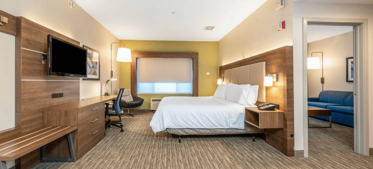 智选假日套房酒店弗里蒙特 - 中央米尔皮塔斯(Holiday Inn Express & Suites Fremont - Milpitas Central)图片