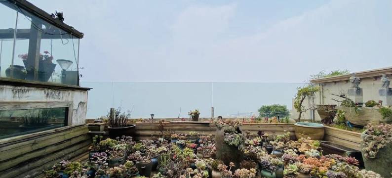 仙湖印象点击头像预览更多房源民宿(澄华线6号分店)图片