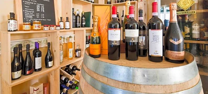 极光别墅酒店(Hotel Villa Aurora)图片