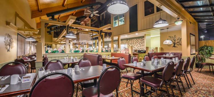 怀特考特加拿大最佳价值酒店(Canadas Best Value Inn Whitecourt)图片