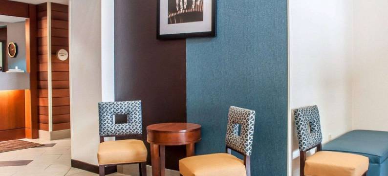 舒适酒店及套房-汉堡-南布法罗(Comfort Inn & Suites Hamburg - Buffalo South)图片