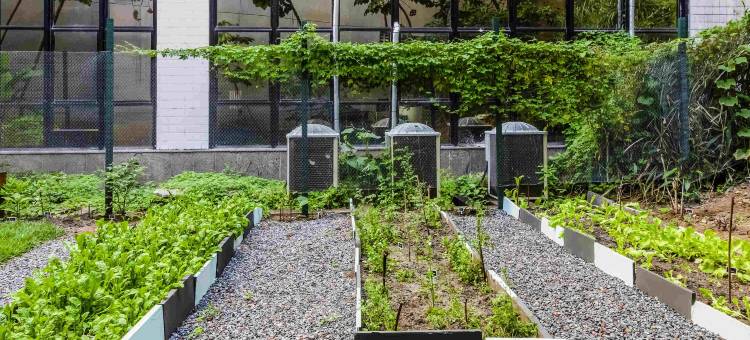 萨尔瓦多大道美居酒店(Mercure Salvador Boulevard)图片