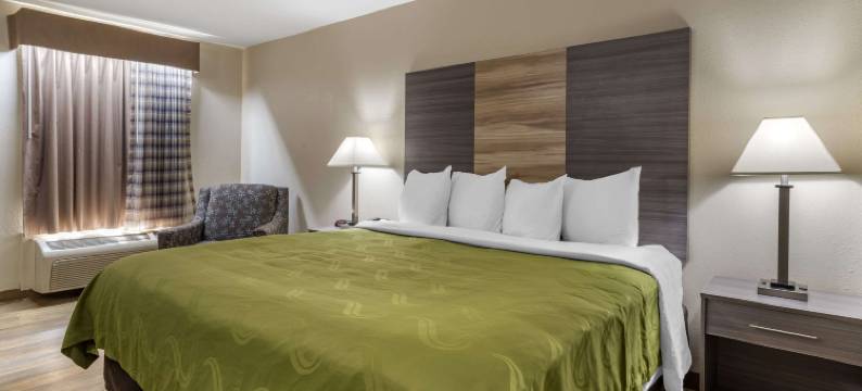 科尼尔斯I-20凯艺酒店(Quality Inn Conyers I-20)图片