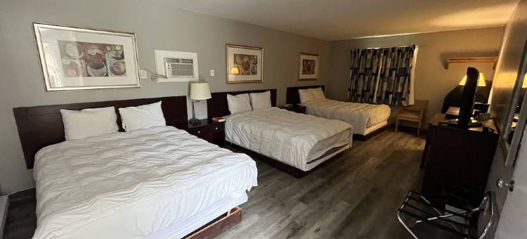 萨特莱特汽车旅馆(Satelite Motel)图片
