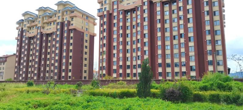 房东桦姐公寓(二七街分店)图片