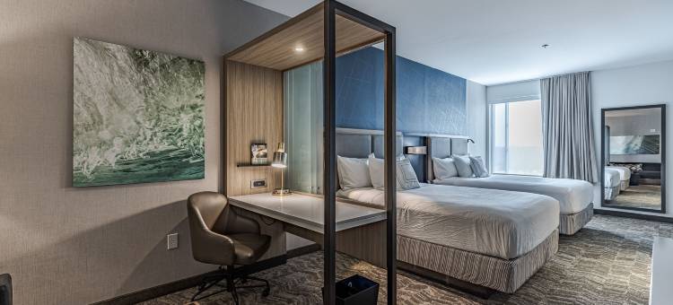 底特律斯特林海茨万豪SpringHill酒店(SpringHill Suites by Marriott Detroit Sterling Heights)图片