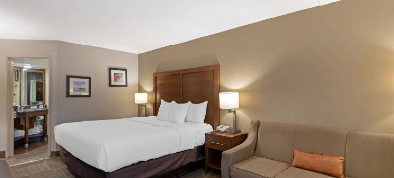 舒适酒店(Comfort Inn)图片