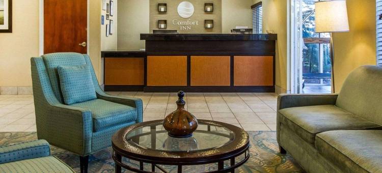 舒适酒店-俄克拉何马市南240号州际公路(Comfort Inn Oklahoma City South - I-240)图片