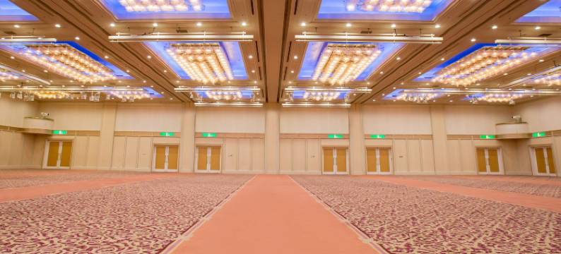 冈山国际酒店(Okayama International Hotel)图片